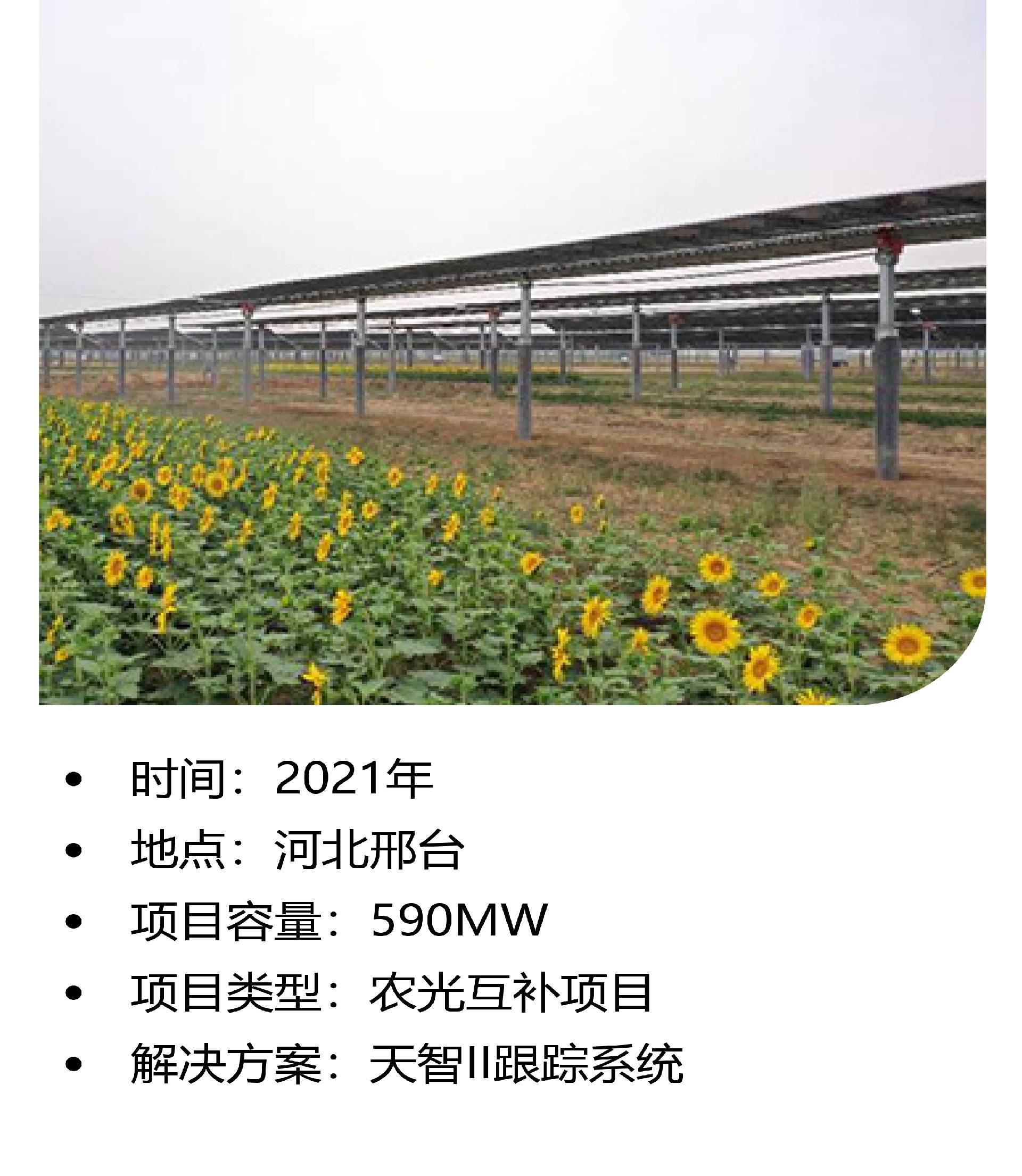 光伏项目案例 (8).jpg